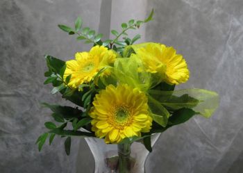 Květinová vazba-žluté gerbery s pistácií a arálií