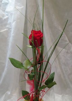 Květinová vazba-valentýn-červená růže,bergras a červený pedig a peříčky