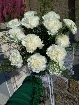Kytice svatební-retro na přání k výročí svatby z bílých karafiátů a asparágusu
